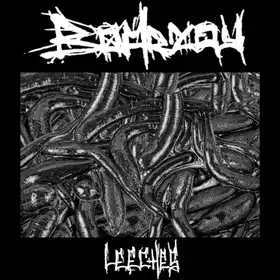 Leeches by Boarzoy - Single Cover