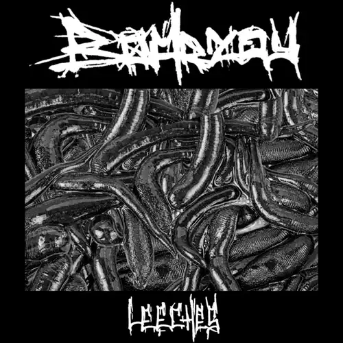 Leeches by Boarzoy - Single Cover