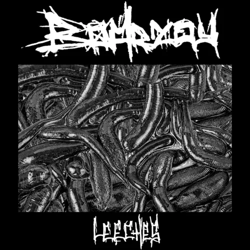 Leeches by Boarzoy - Single Cover