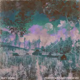 Perceptions Not Perceived by Riley Senne - EP Cover